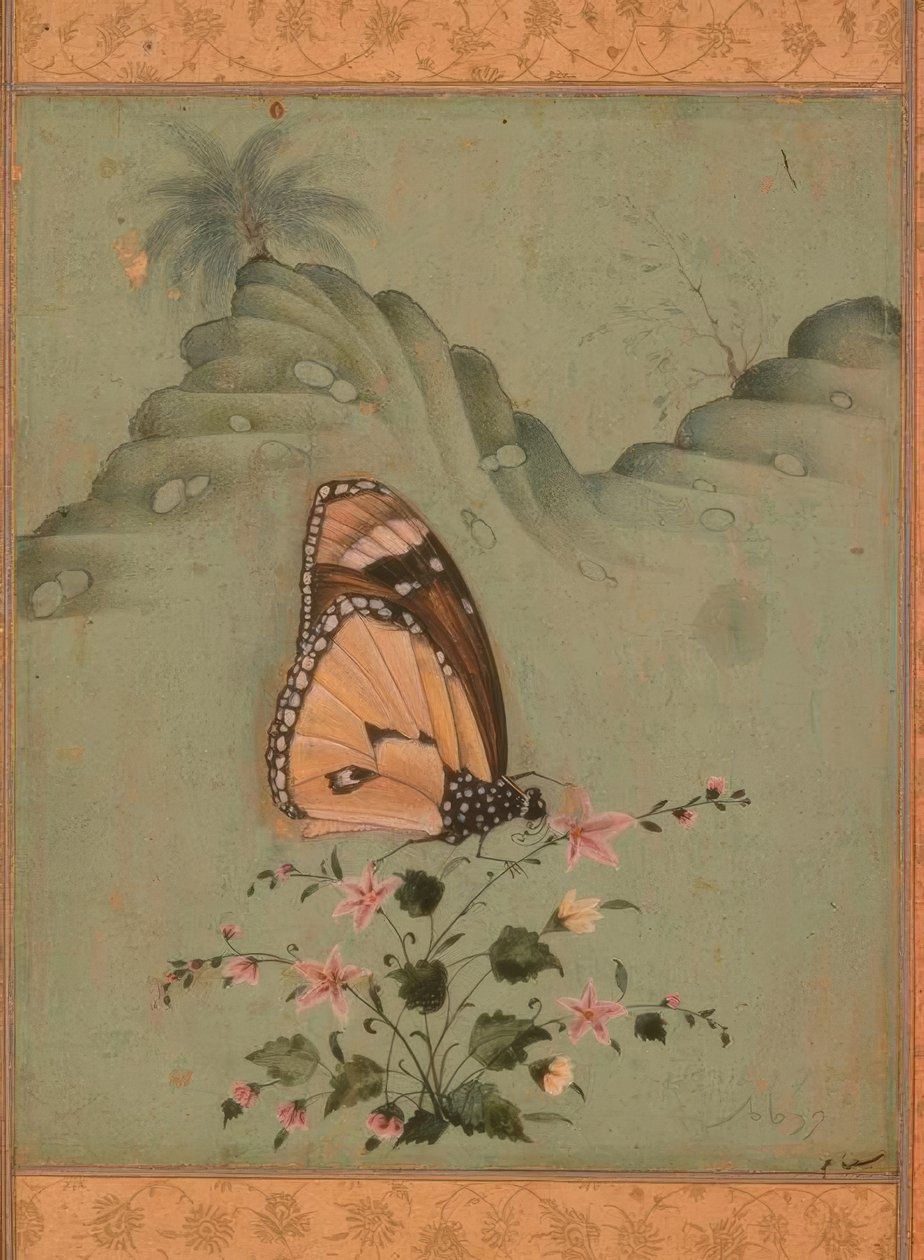 Papillon / miniature indienne / XVIIe siècle - Unbekannt