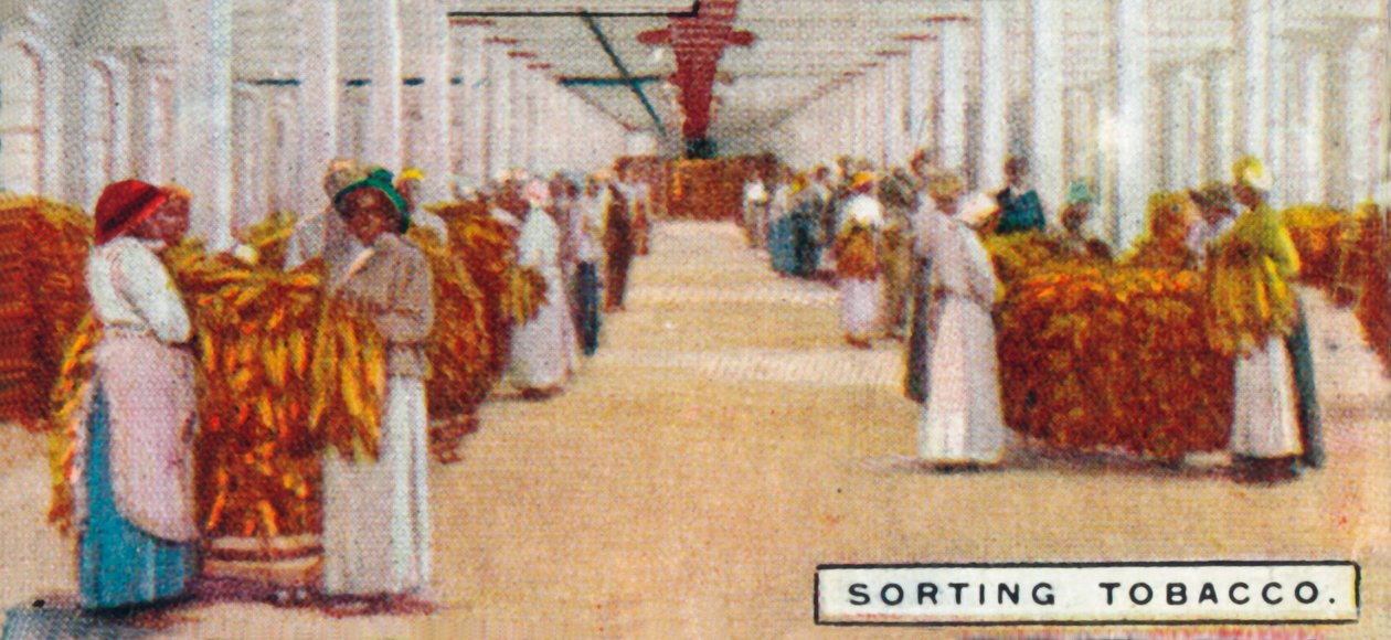 Tri du tabac, 1926 - Unbekannt