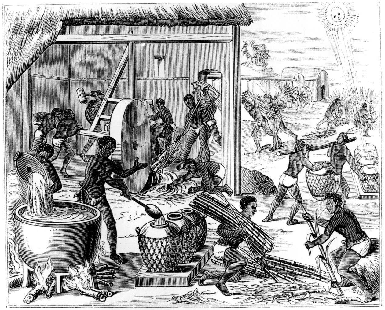 Production de sucre, 1873 - Unbekannt
