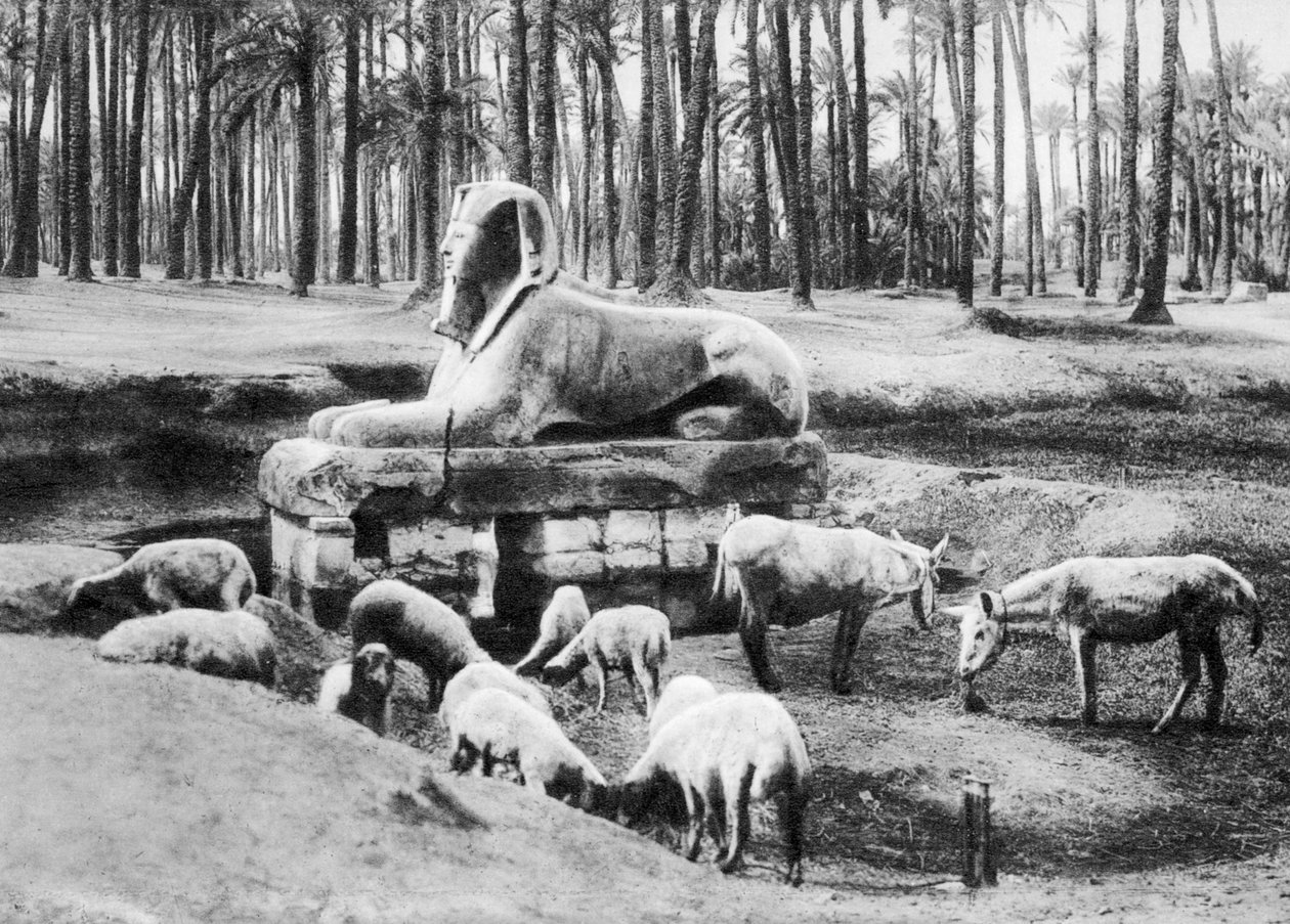 Le Sphinx d