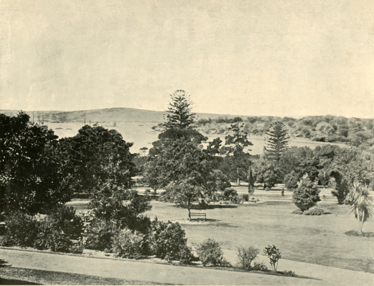 Les jardins botaniques de Sydney, 1901 - Unbekannt