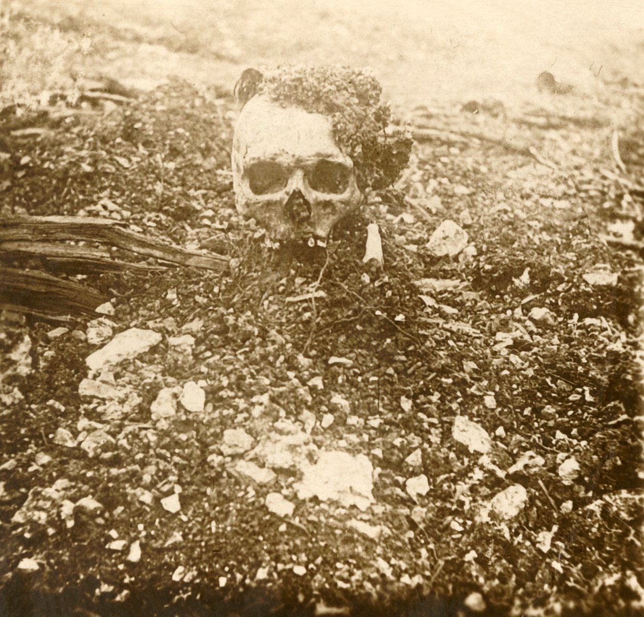 Le prince héritier, Verdun, nord de la France, 1916 - Unbekannt