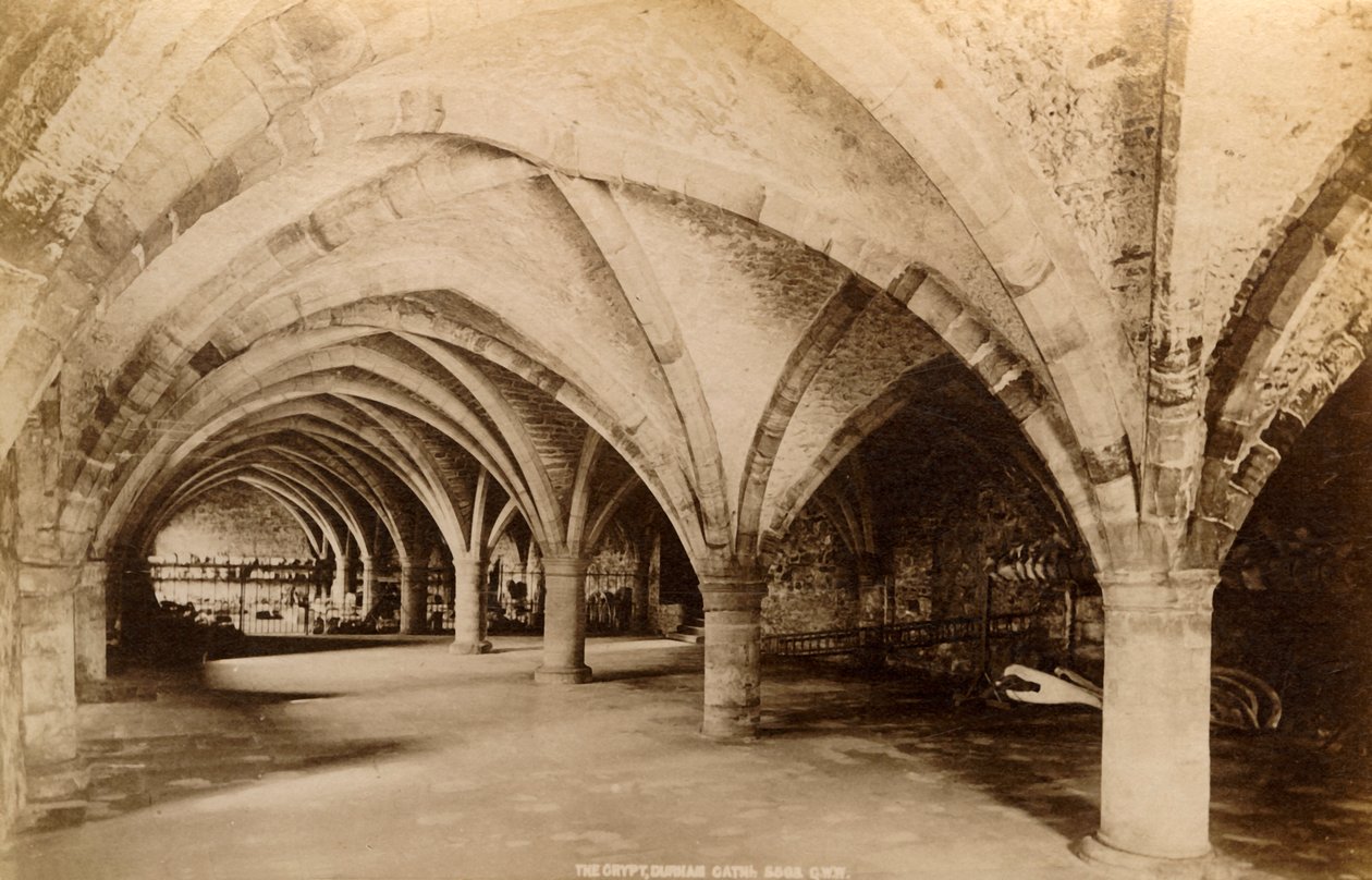 La Crypte, cathédrale de Durham - Unbekannt