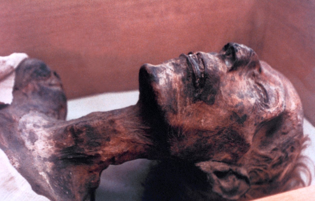 La Momie de Ramsès II, Égypte, 1213 av. J.-C. - Unbekannt