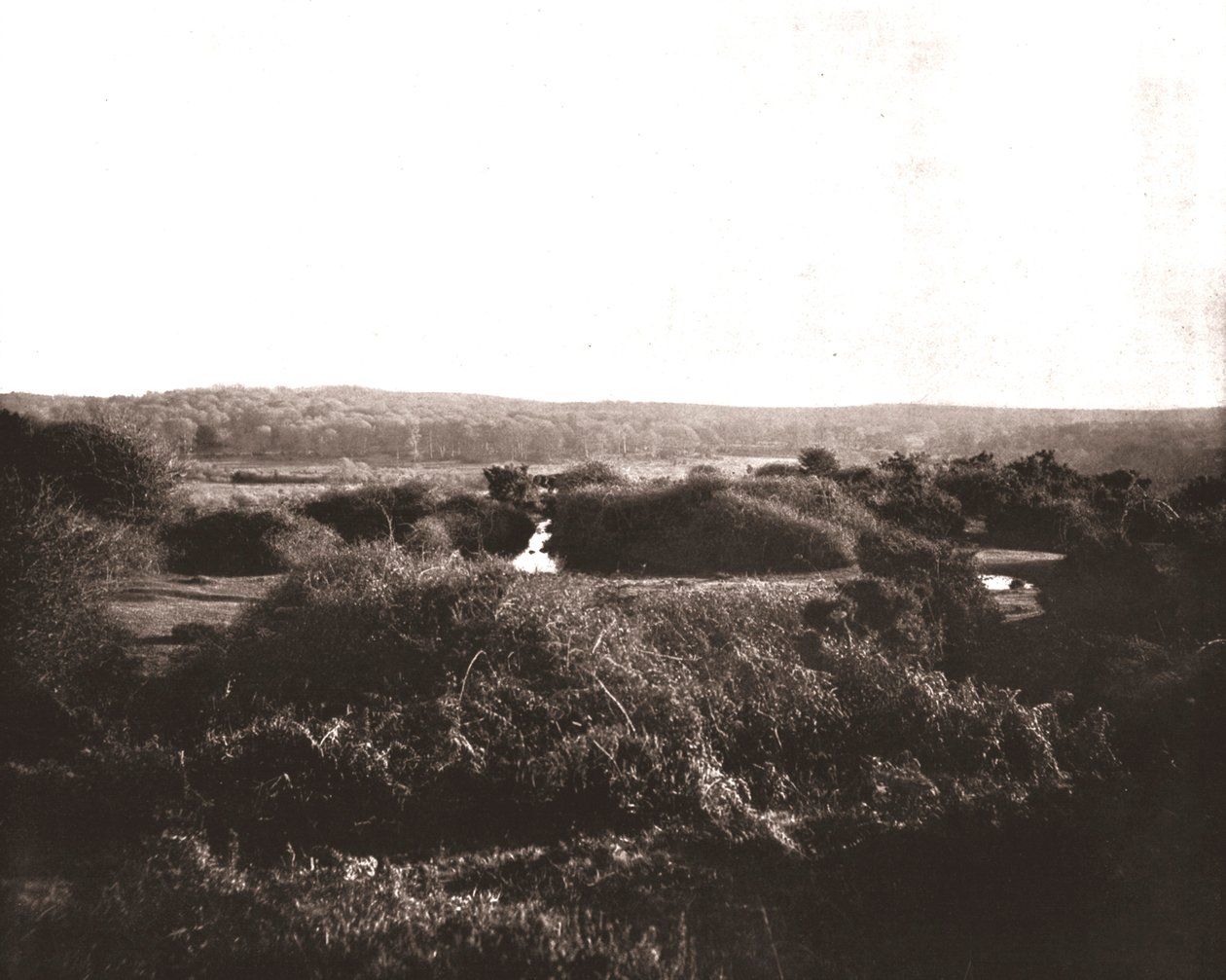La Nouvelle Forêt, Hampshire, 1894 - Unbekannt