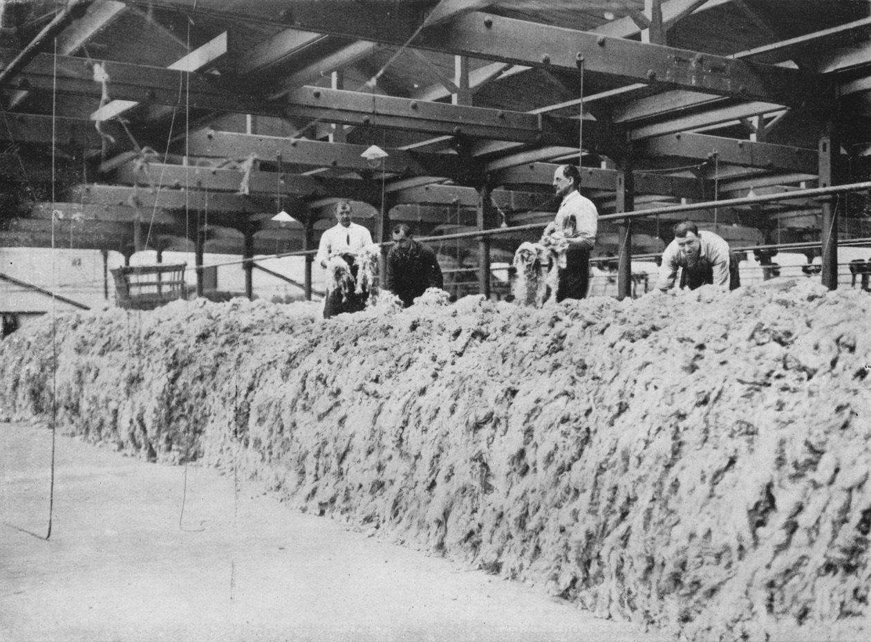 La fabrication du kaki - Mélange de laine, 1915 - Unbekannt