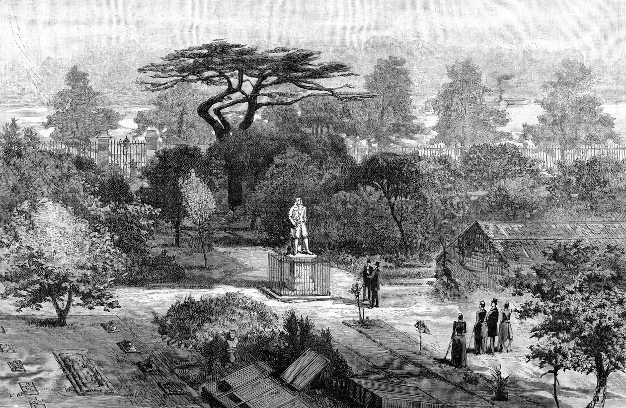 Le vieux jardin de physique, Chelsea, 1890 - Unbekannt
