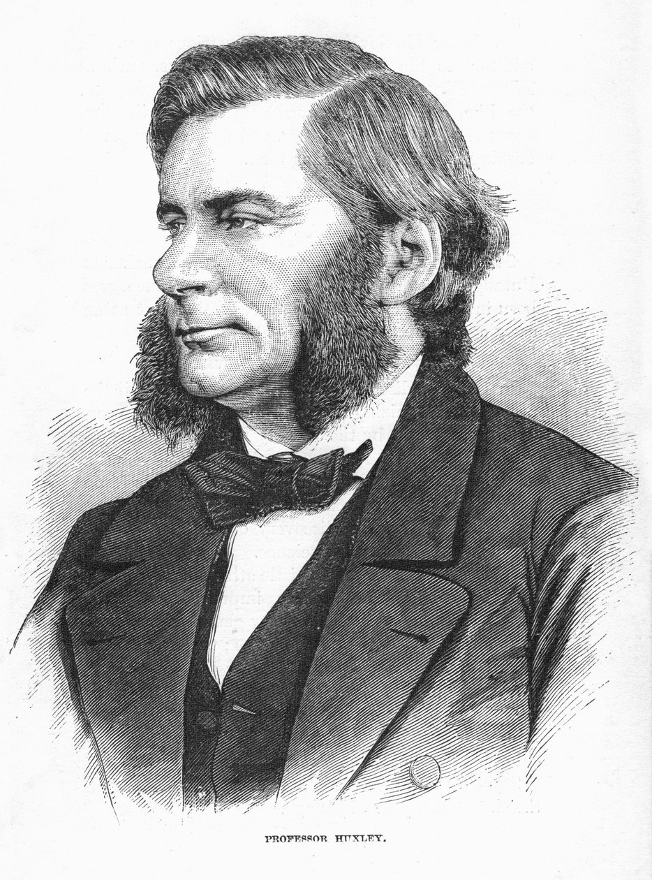 Thomas Henry Huxley, biologiste britannique, vers 1860 - Unbekannt