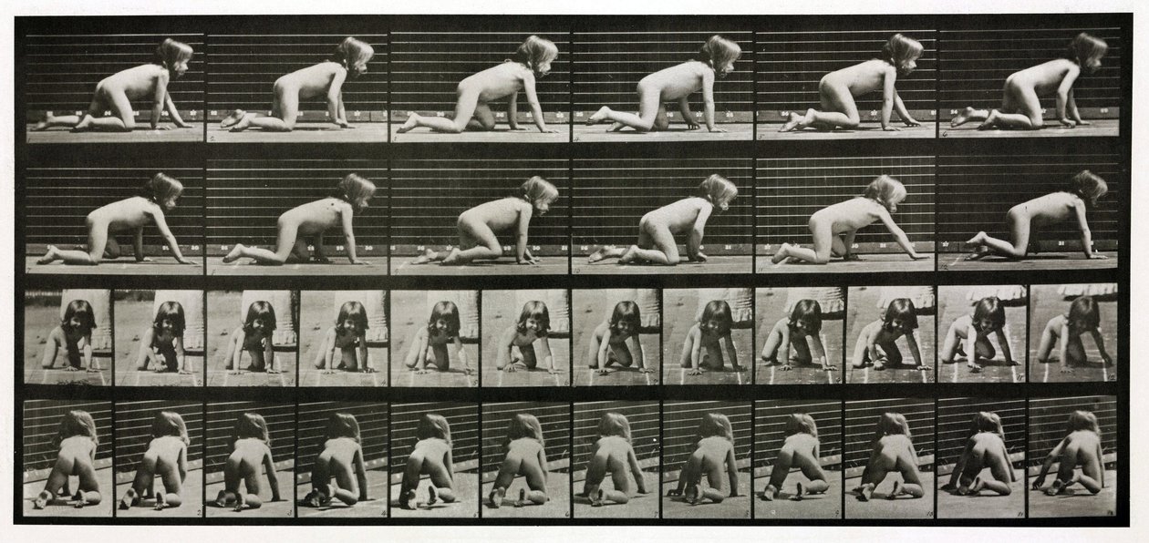 Photographies en accéléré d