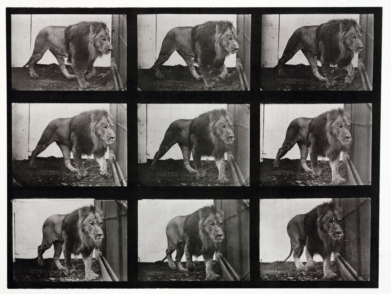 Photographies en accéléré d