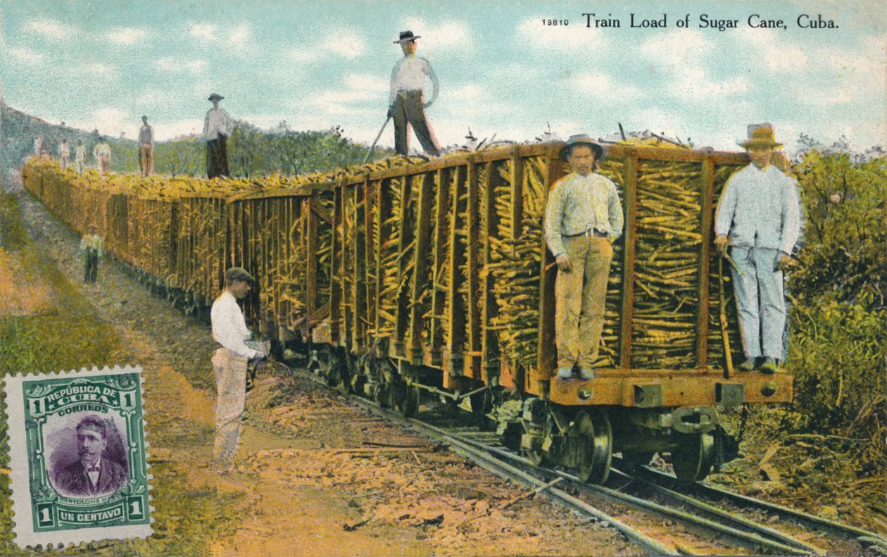 Train de cannes à sucre, Cuba, 1911 - Unbekannt
