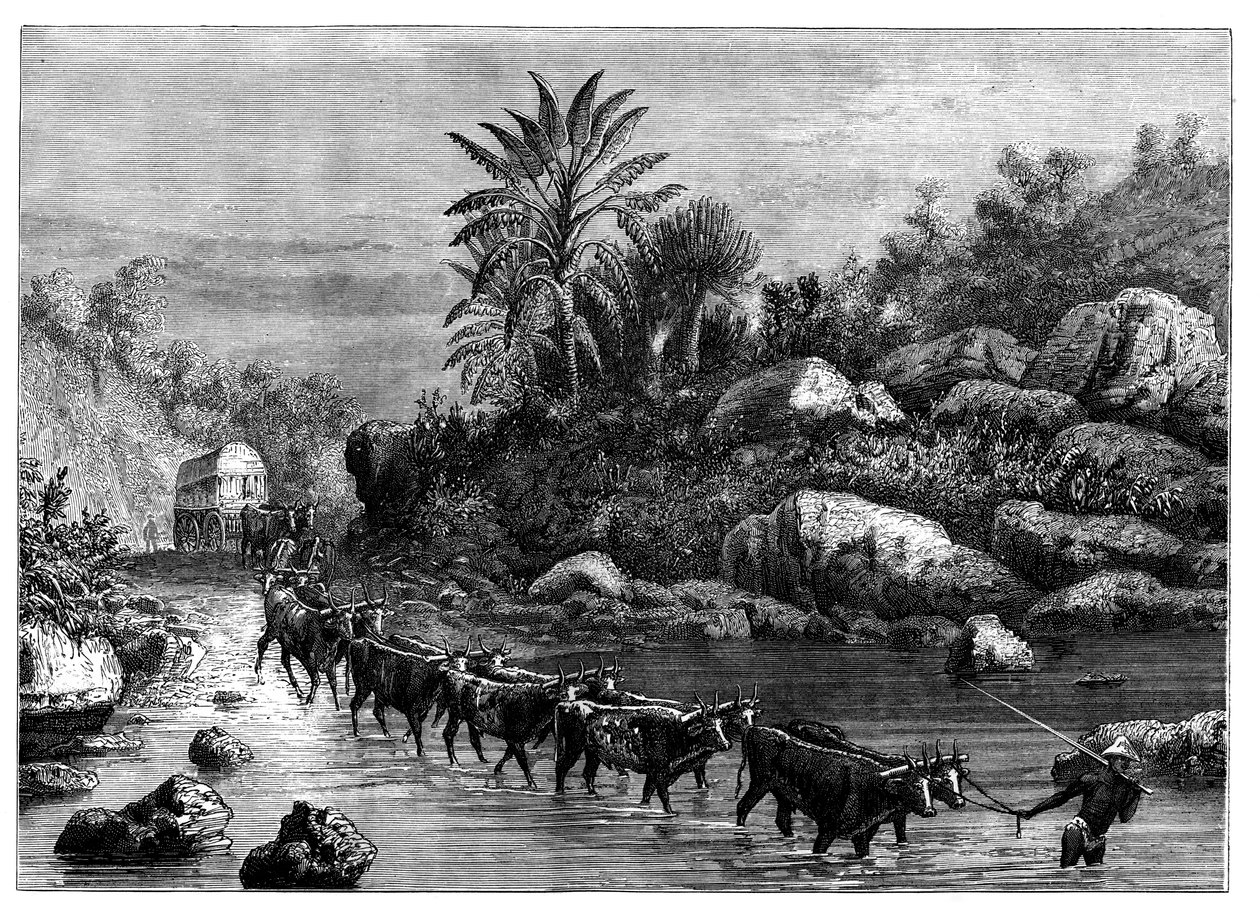 Voyage en Griqualand, Afrique du Sud, c1890 - Unbekannt
