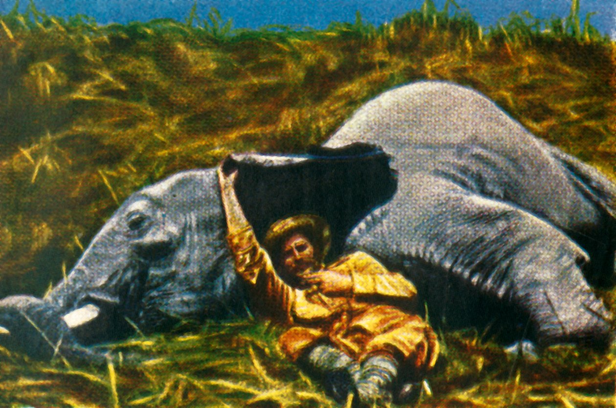 Chasseur de trophées avec éléphant mort, vers 1928 - Unbekannt