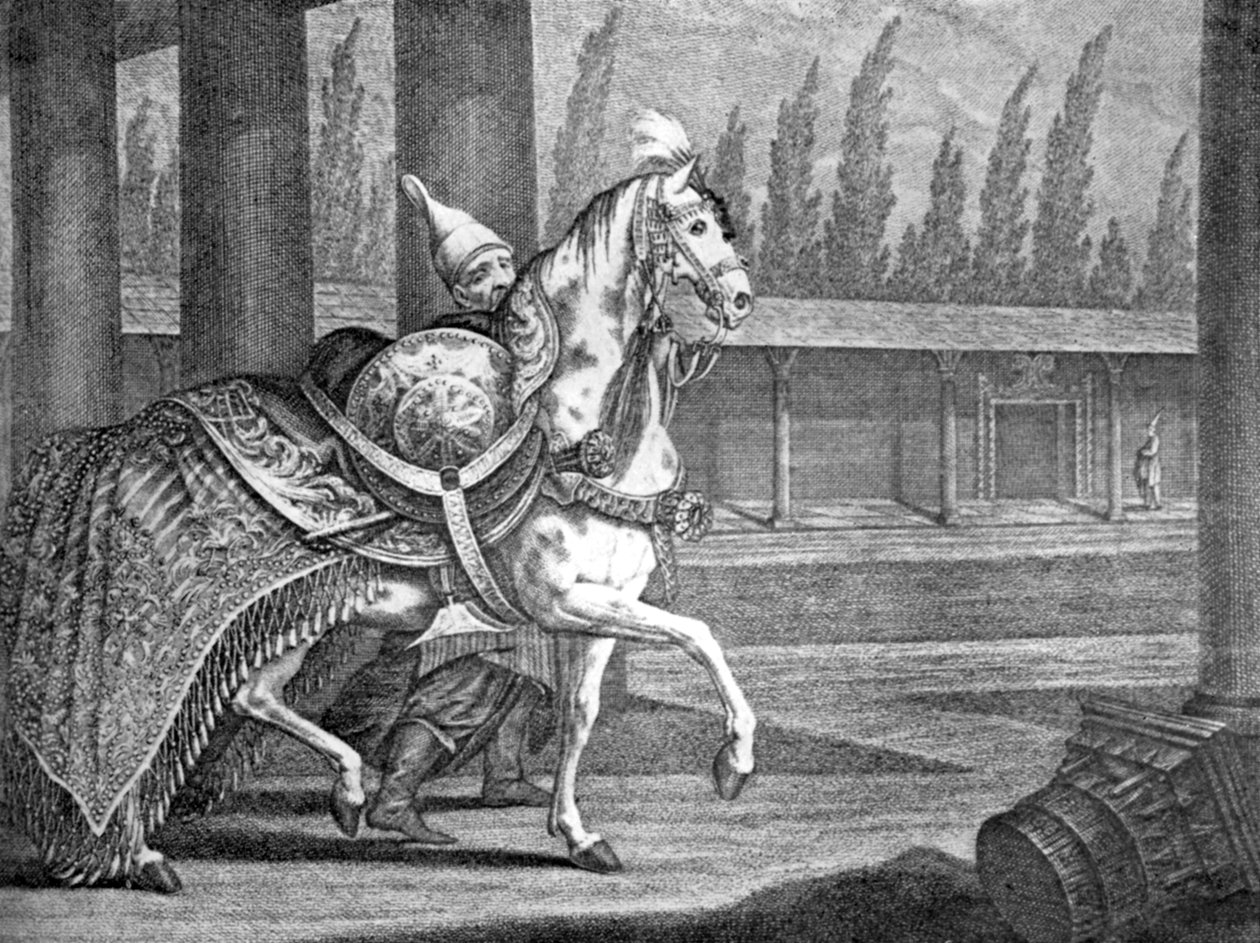 Cheval arabe du sultan turc, 1722 - Unbekannt