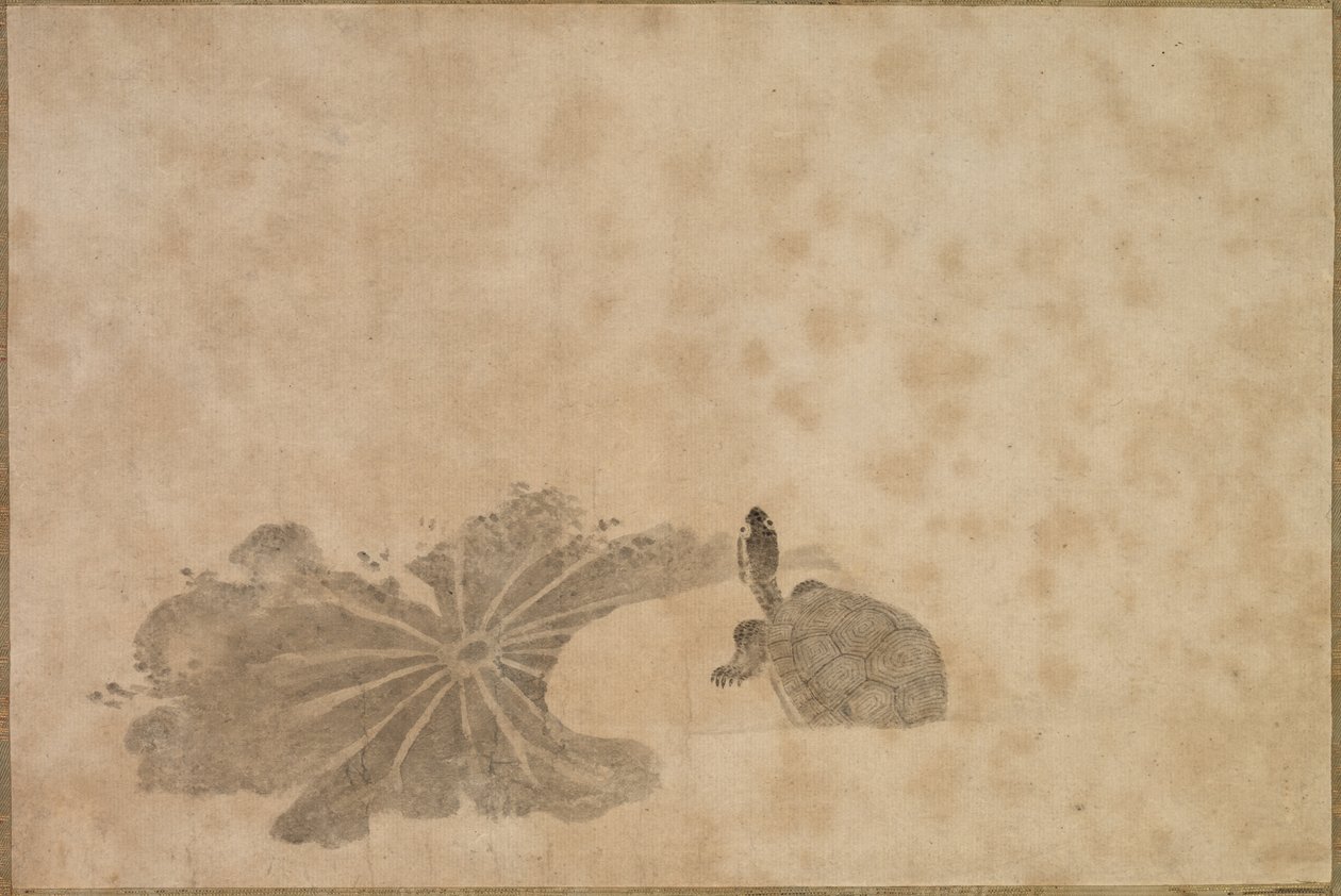 Tortue dans un étang de lotus, 18ème siècle - Unbekannt