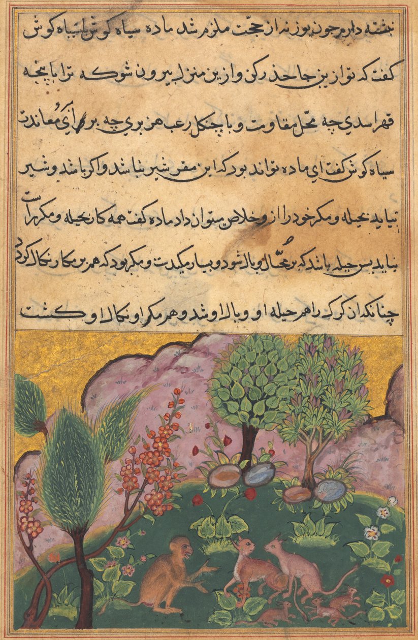 Tuti-Nama (Contes d