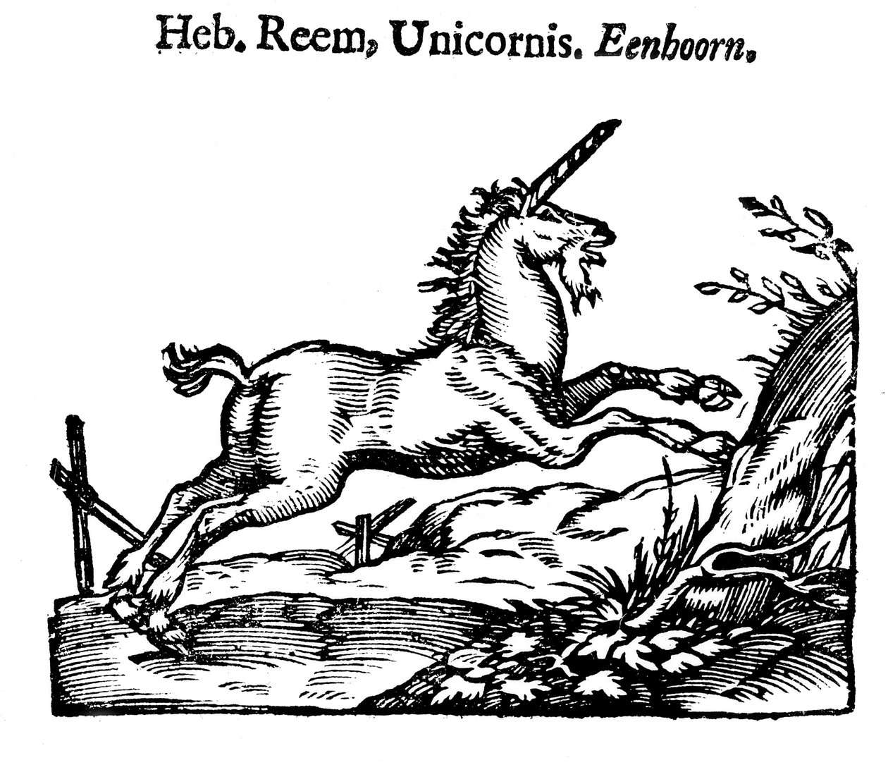 Licorne, 1644 - Unbekannt