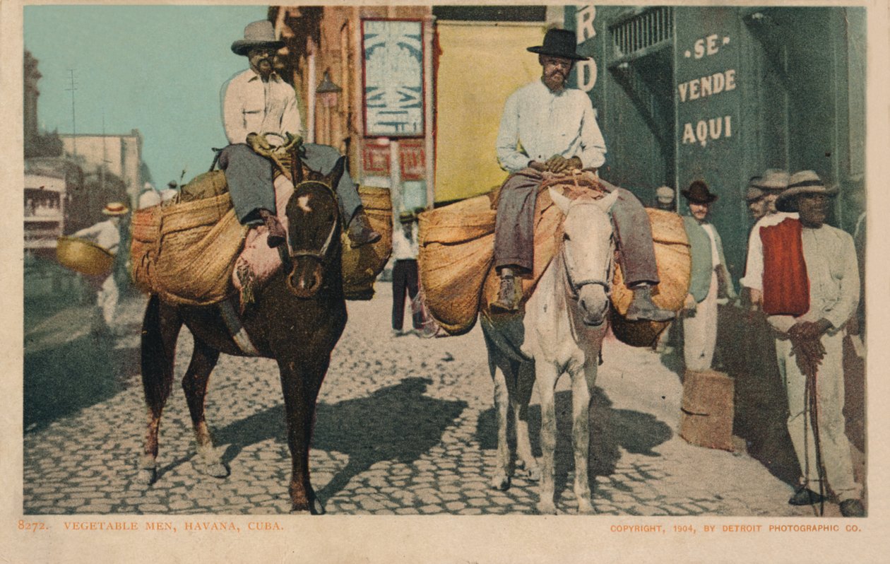 Hommes de légumes, La Havane, Cuba, 1904 - Unbekannt