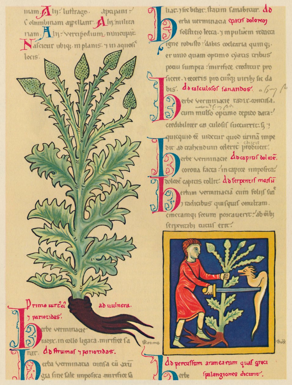 Verveine, 1947 - Unbekannt