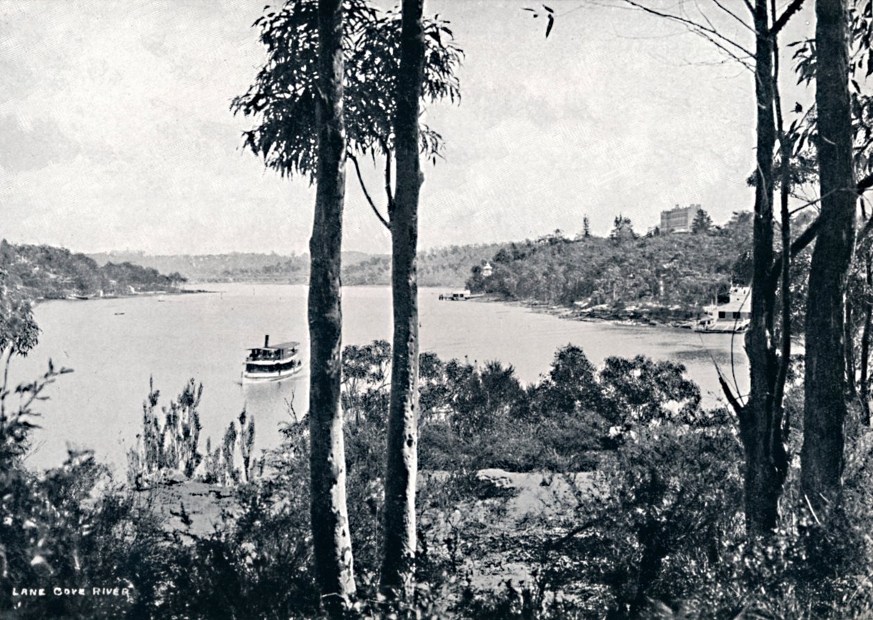 Vue sur la rivière Lane Cove - Unbekannt
