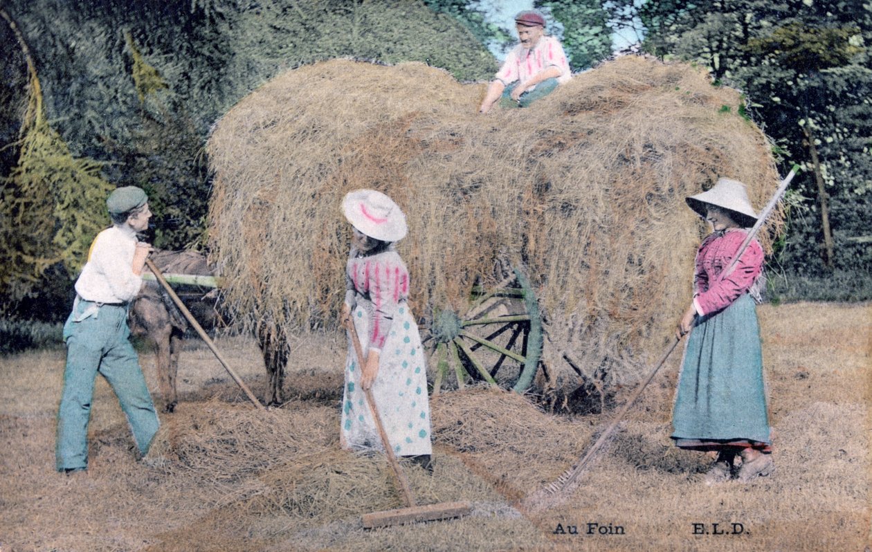 Avec le foin, vers 1900 - Unbekannt