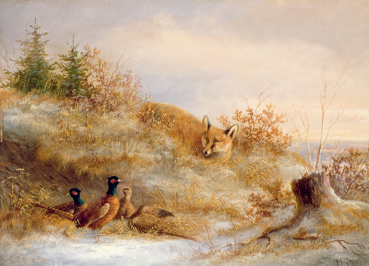 Renard et faisans en hiver - Unbekannt Unbekannt