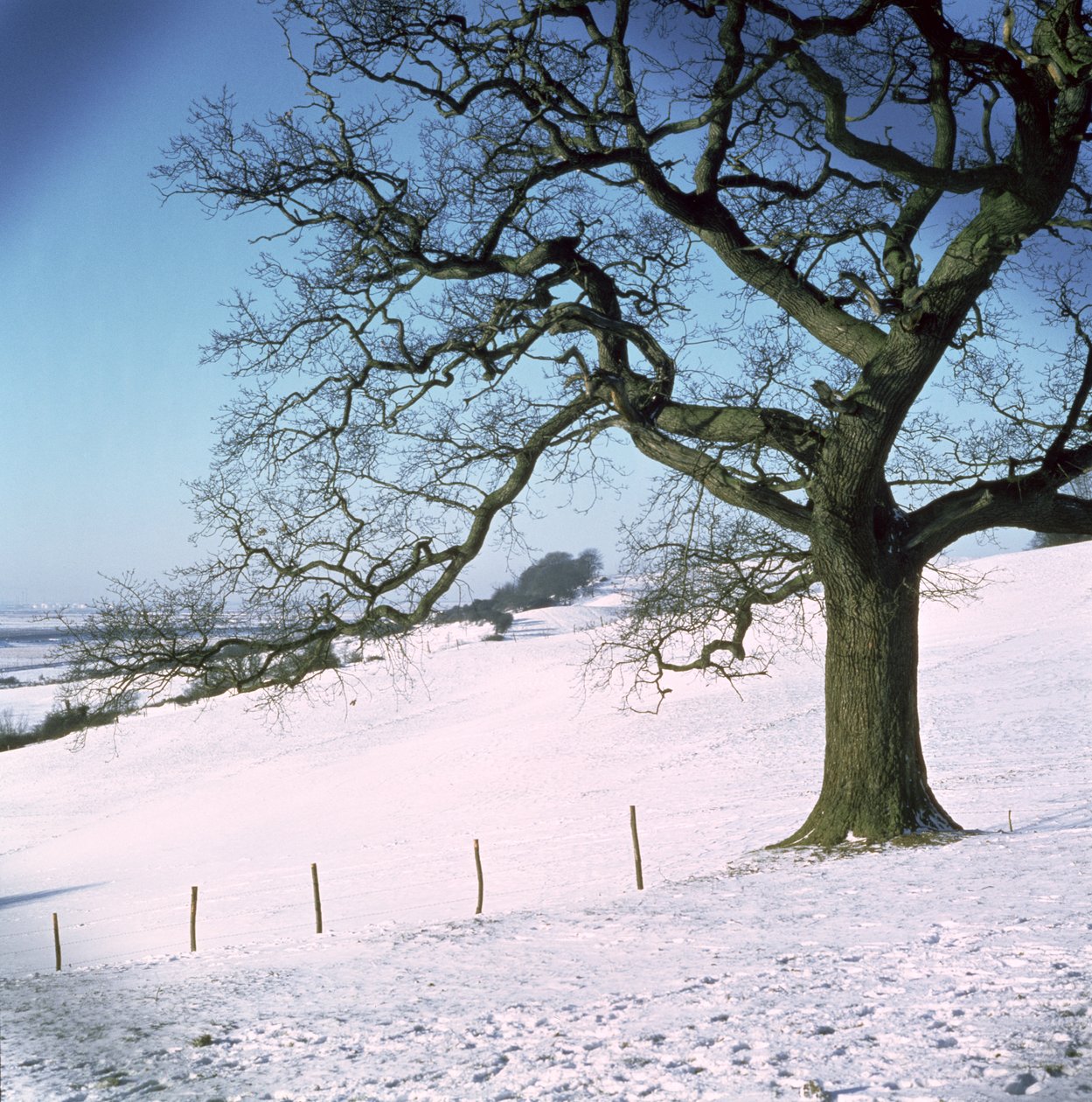 Paysage d