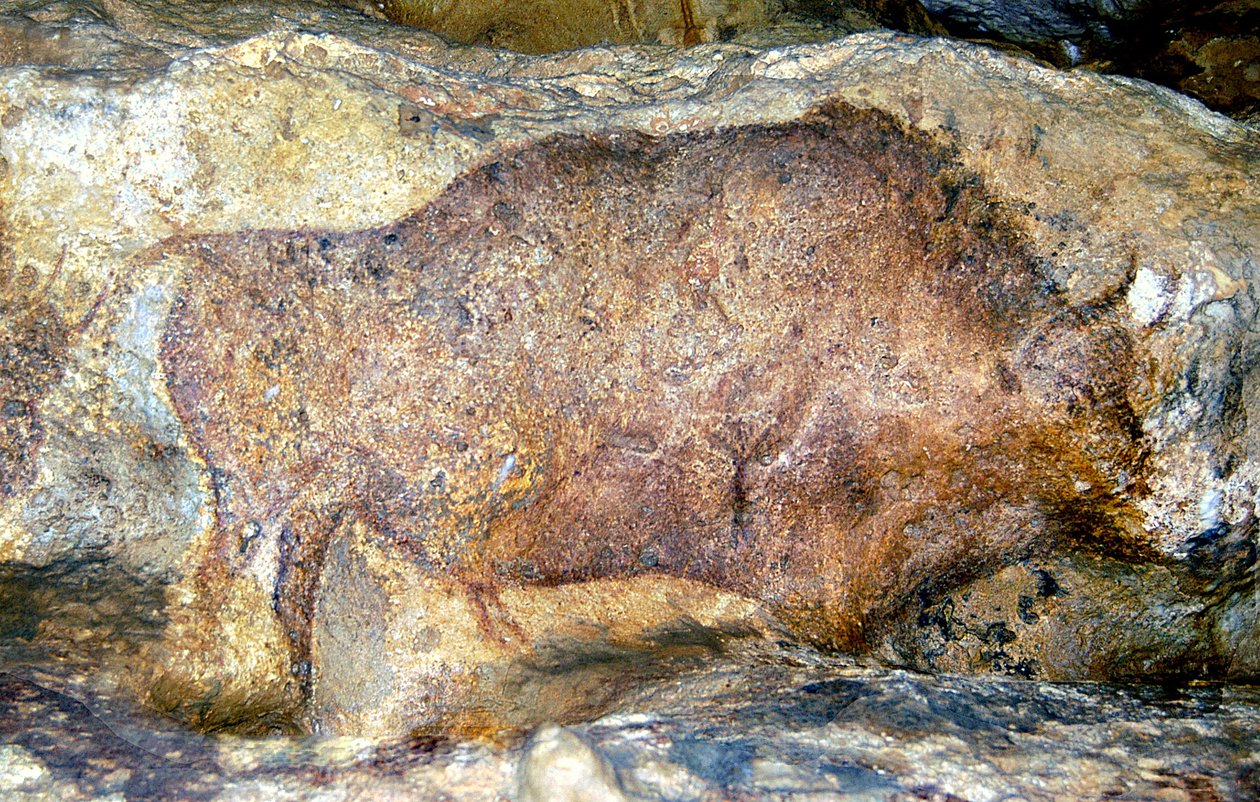 Bison à Font De Gaume, c.25,000 av. J.-C. - Unbekannt Unbekannt
