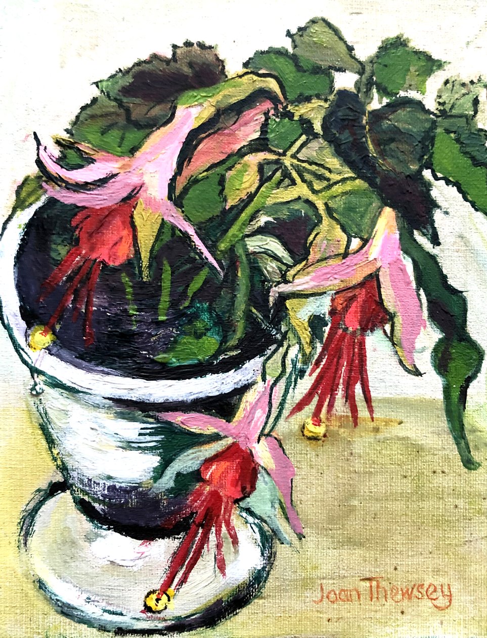 Fuchsias - Unbekannt Unbekannt
