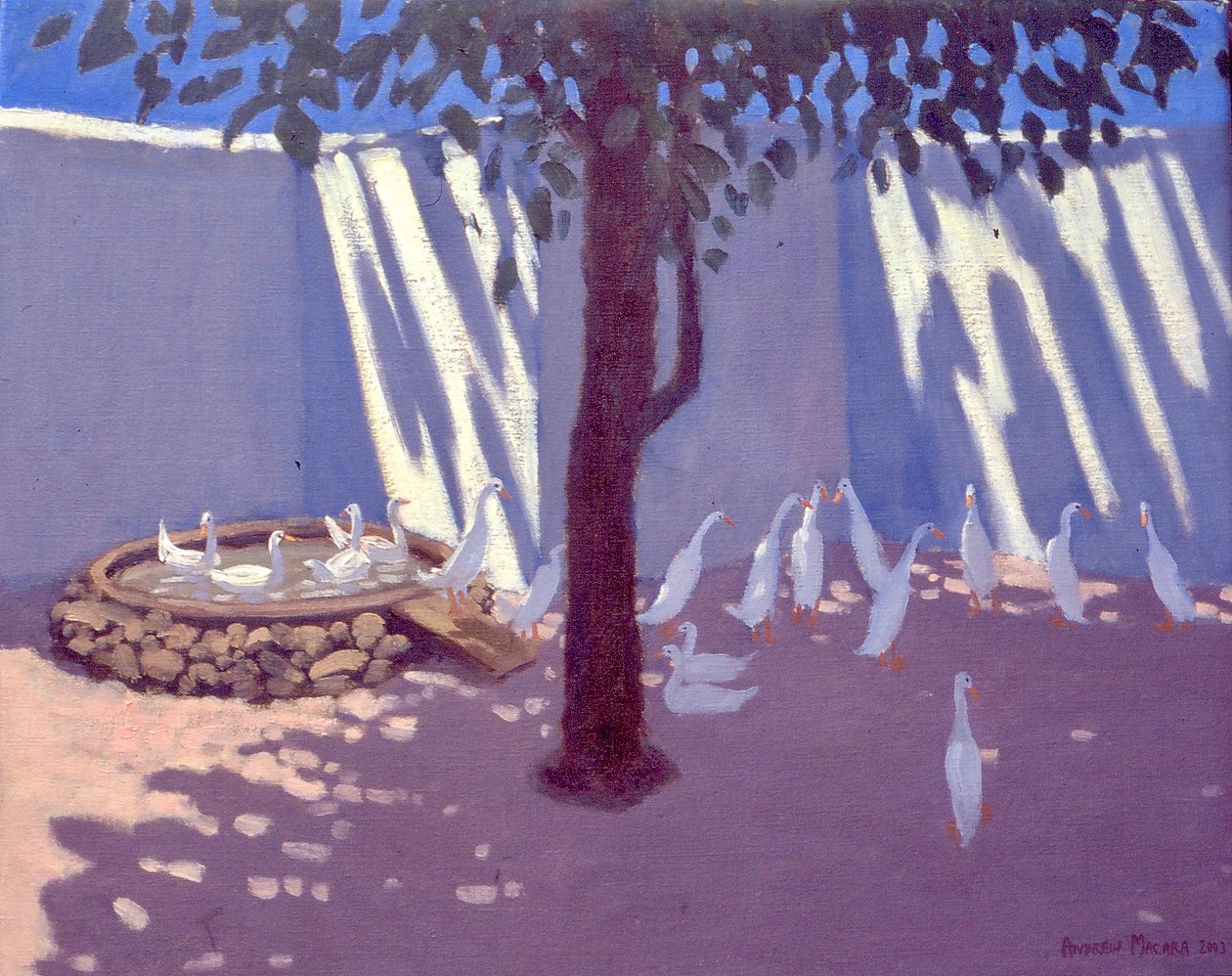 Canards coureurs, Afrique du Sud, 2011 - Unbekannt Unbekannt