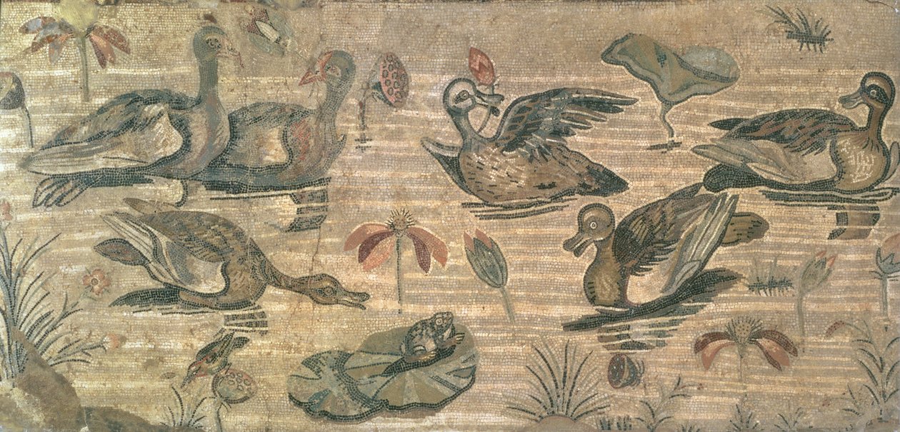 Scène d