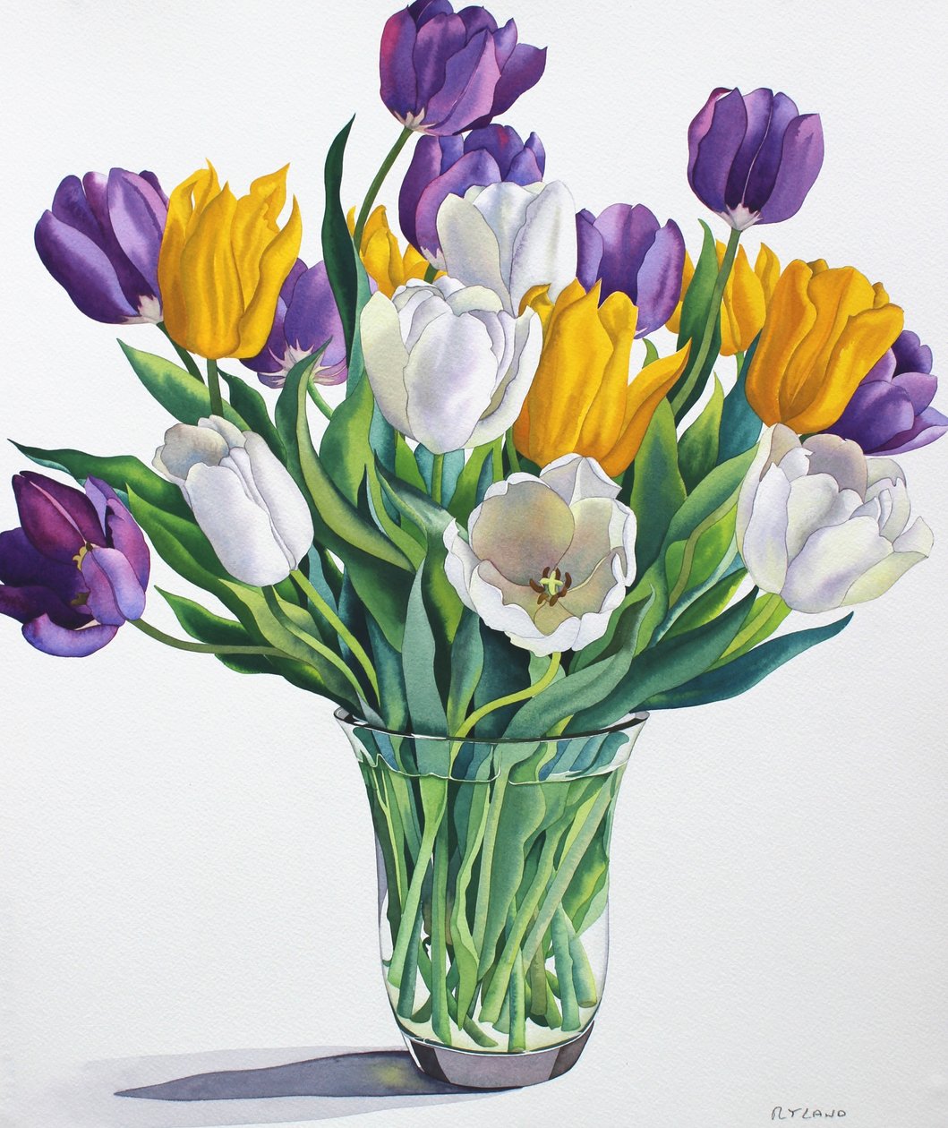Tulipes dans un vase en verre - Unbekannt Unbekannt