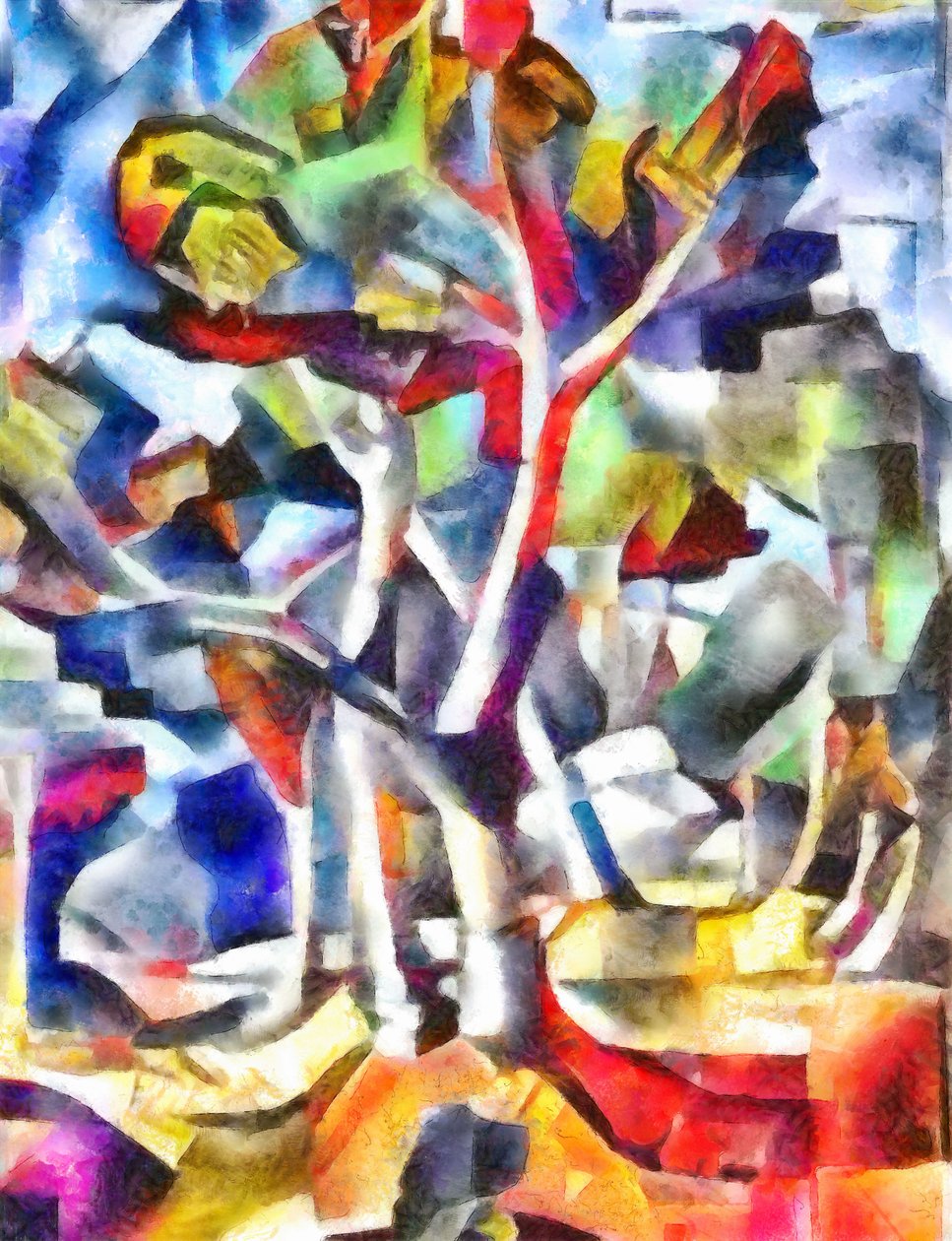Image inconnue - Unbekannt Unbekannt