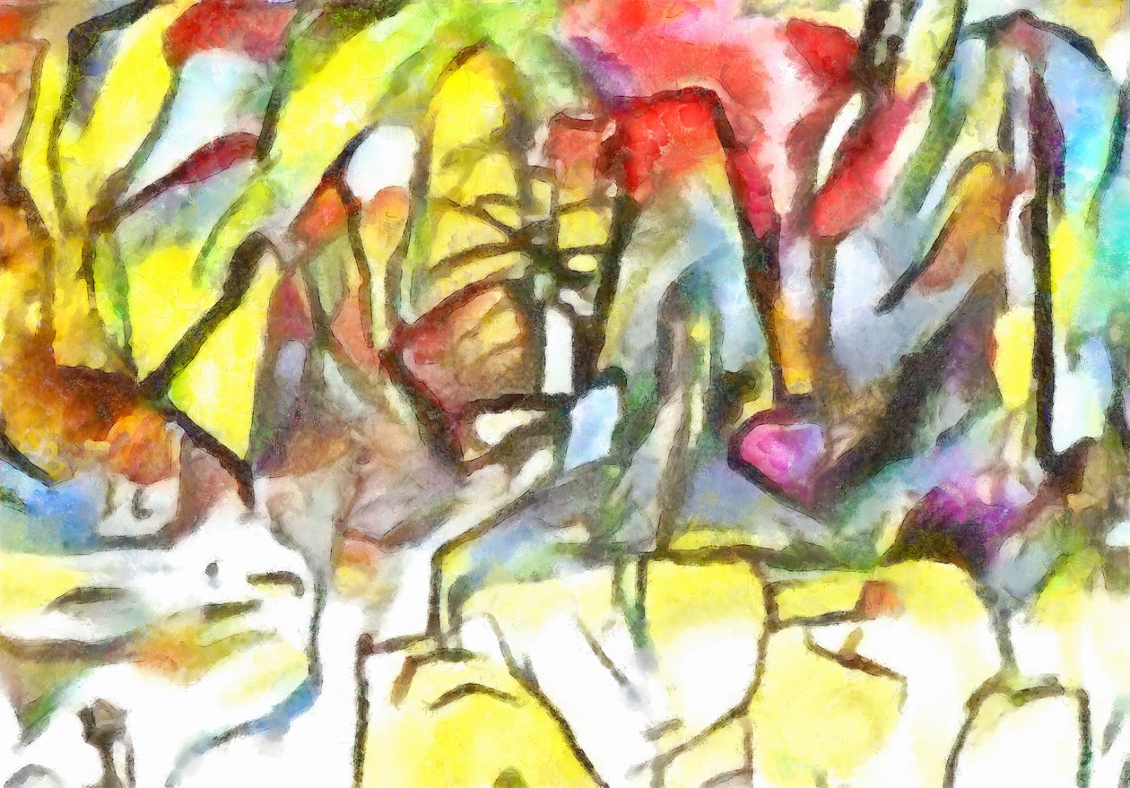 Image inconnue - Unbekannt Unbekannt