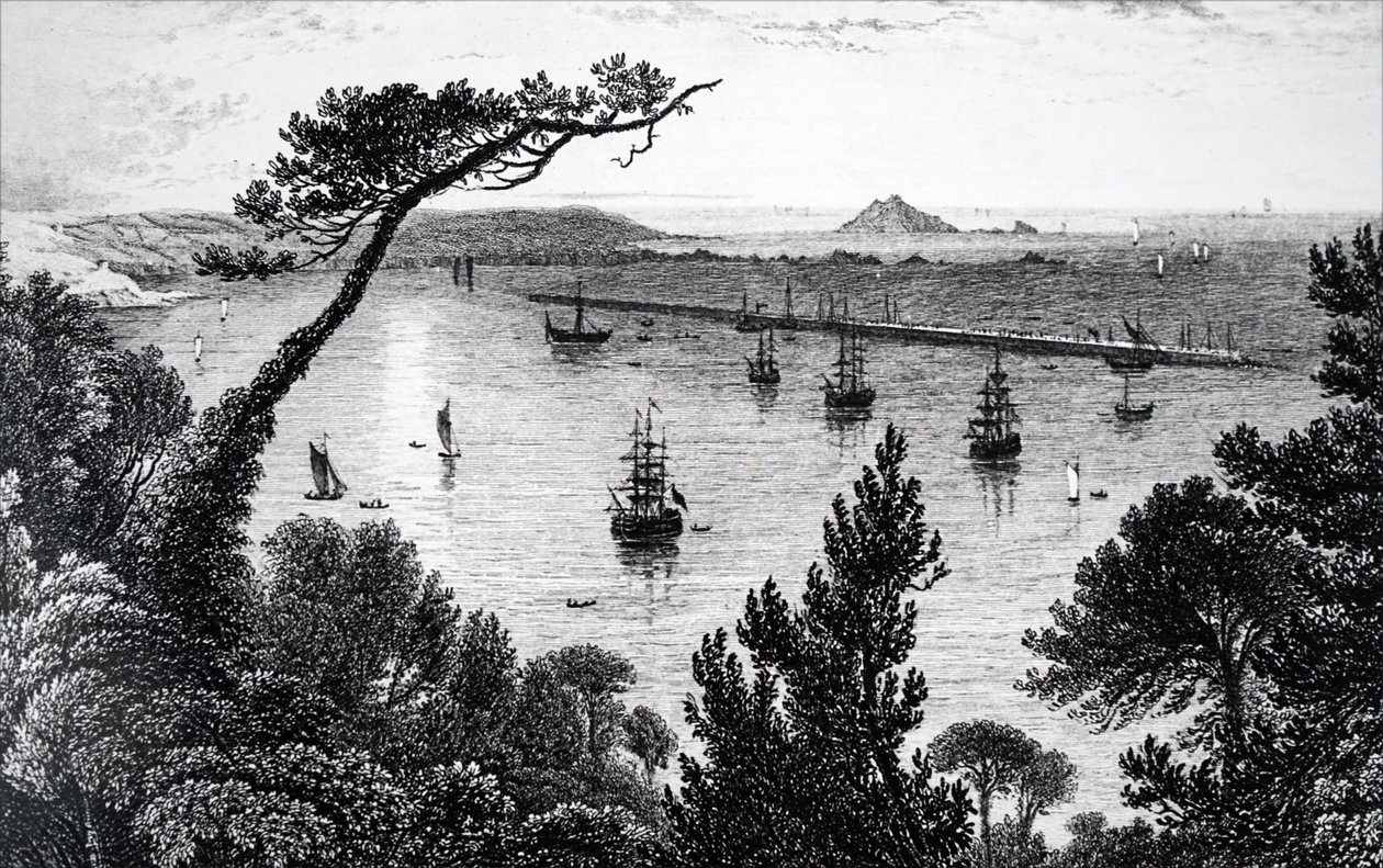 Vue du port de Plymouth - Unbekannt