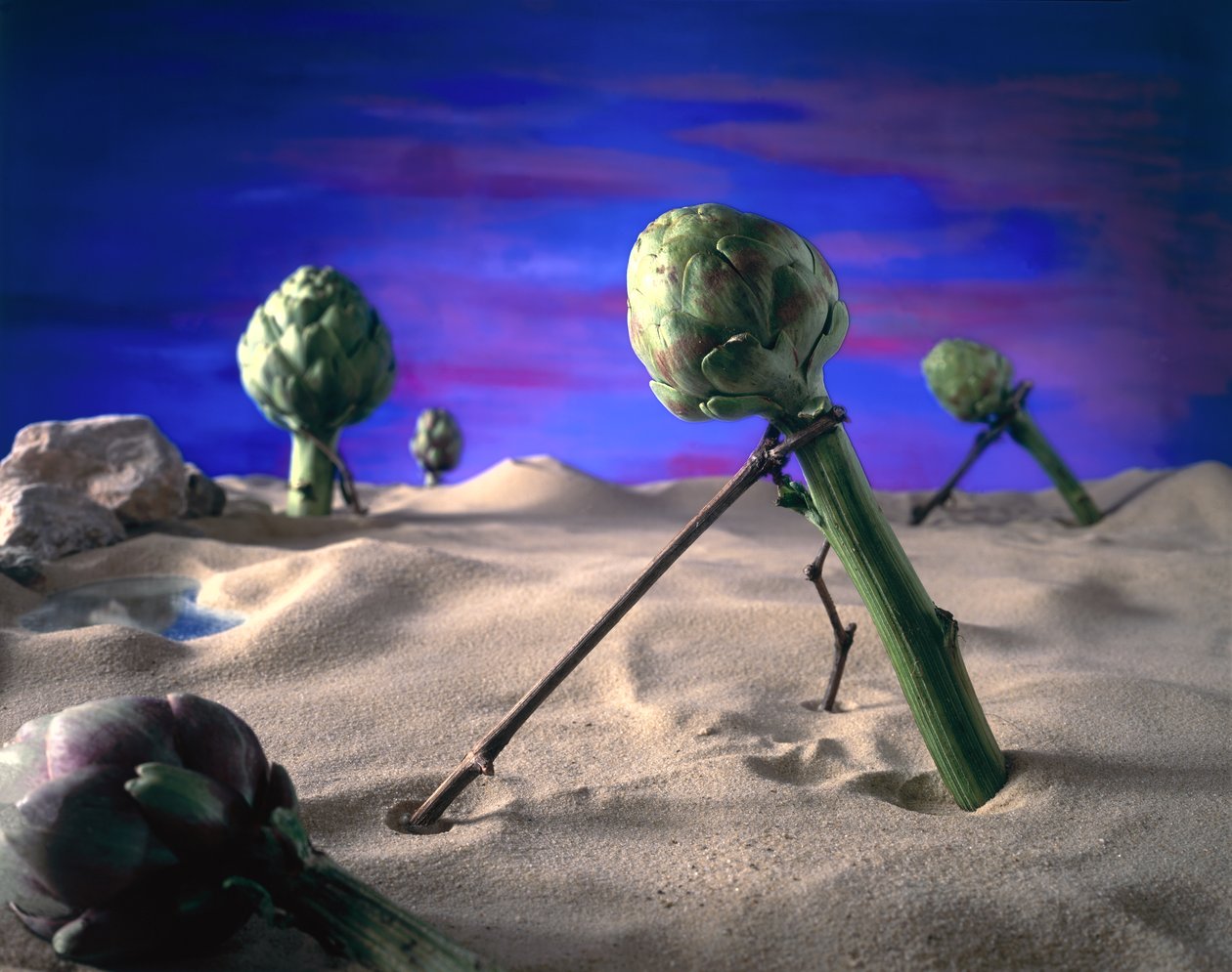 Art-ichaut (Dali) 1996 - Unbekannter Künstler