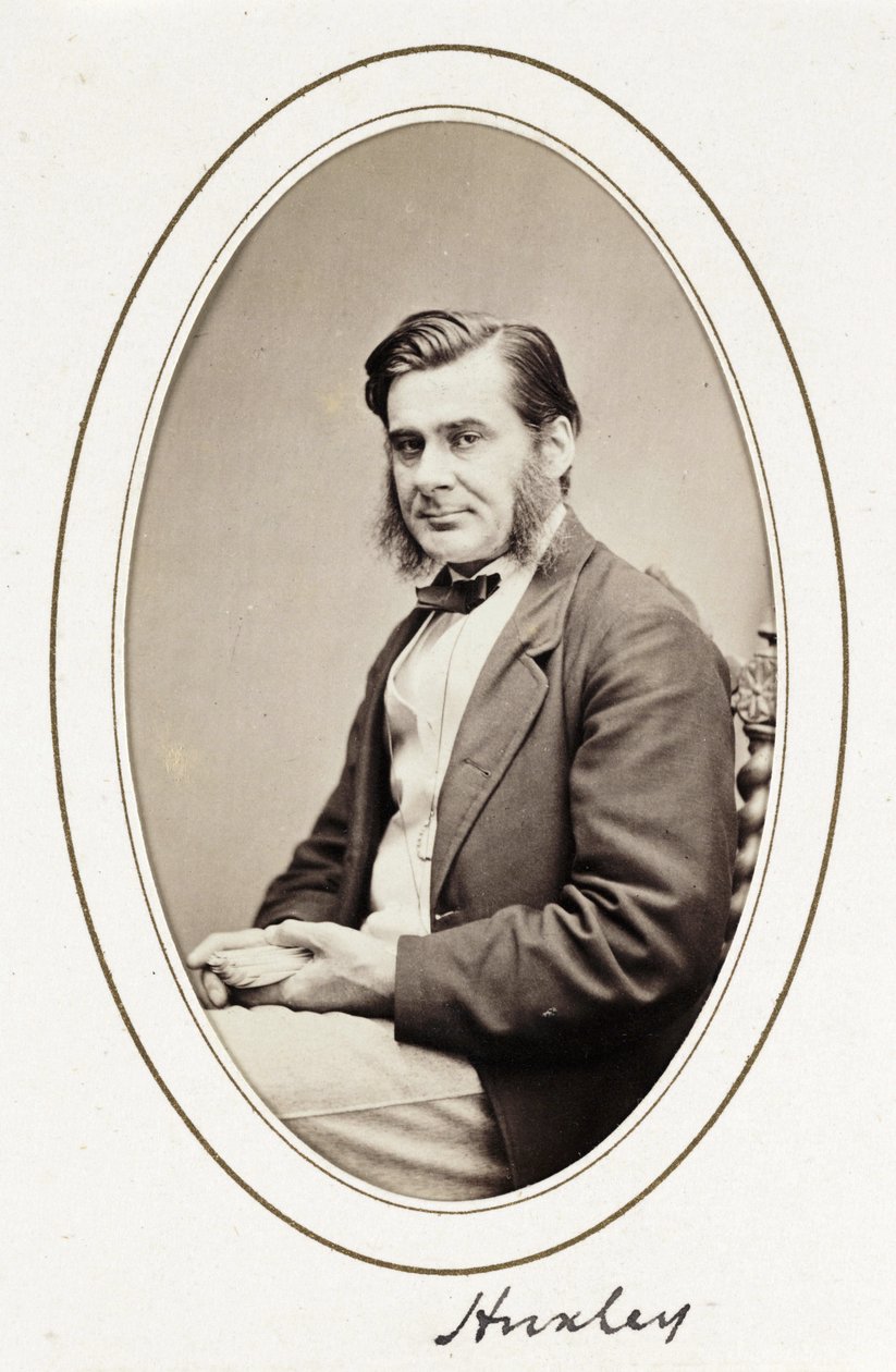 Huxley, vers 1865 - Unbekannt