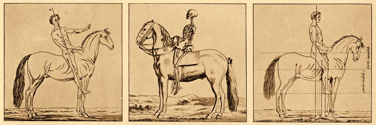 Instructions sur la posture à cheval - Unbekannter Künstler