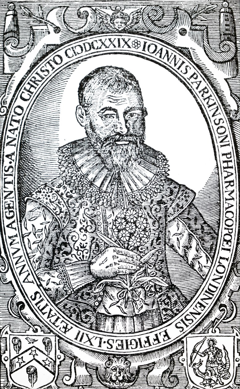 John Parkinson - Unbekannt