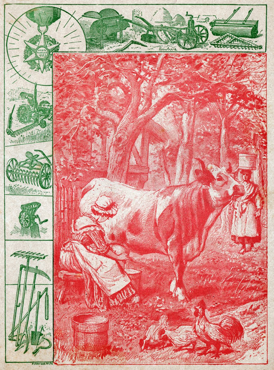 Le lait - Nicolas Liez