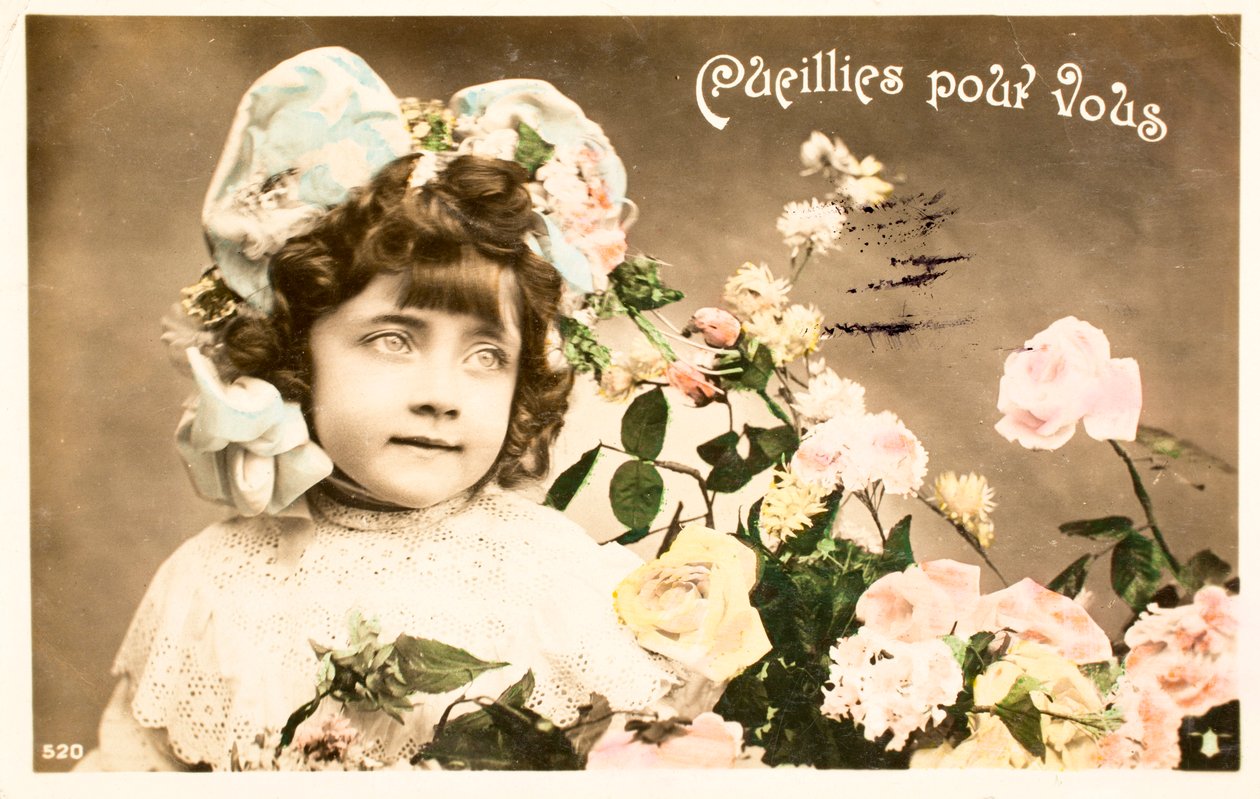 Cueilli pour vous, rose - William M. Timlin