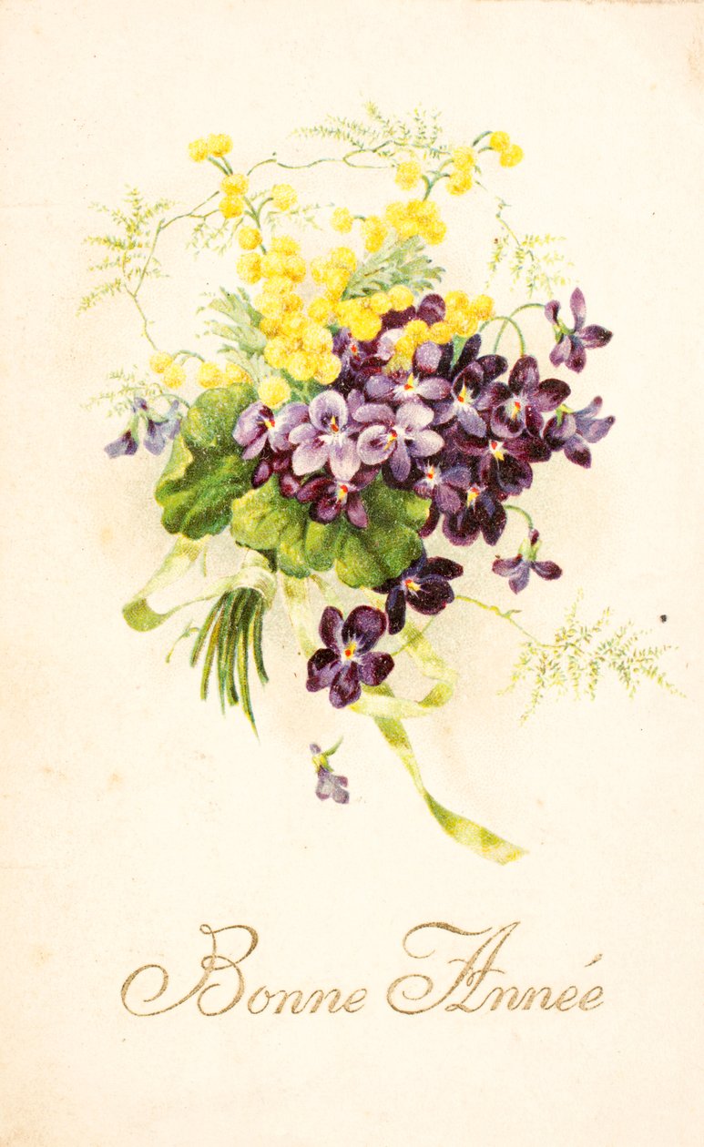 Vieille carte postale/Violette et Mimosa - Unbekannt