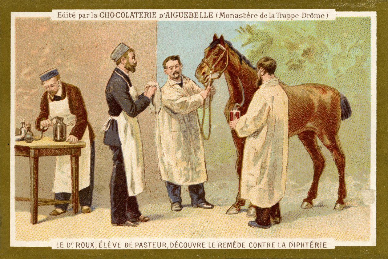 Pierre Paul Émile Roux - Unbekannter Künstler