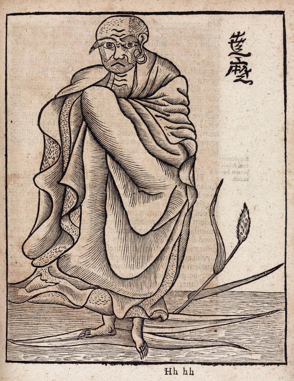 Portrait de Bodhidharma - Unbekannt