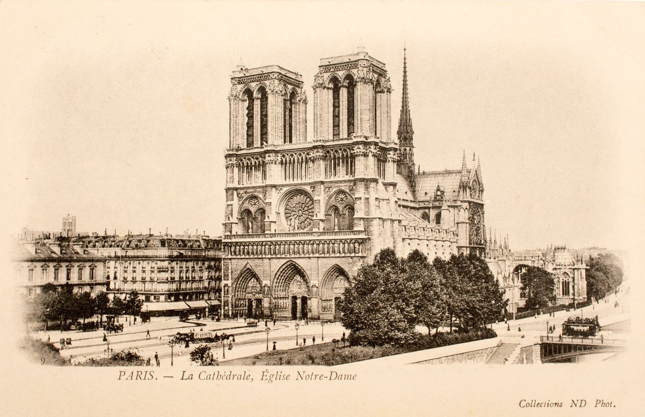 Carte postale/Notre-Dame/Paris/Seine/Île-de-France/France - William M. Timlin