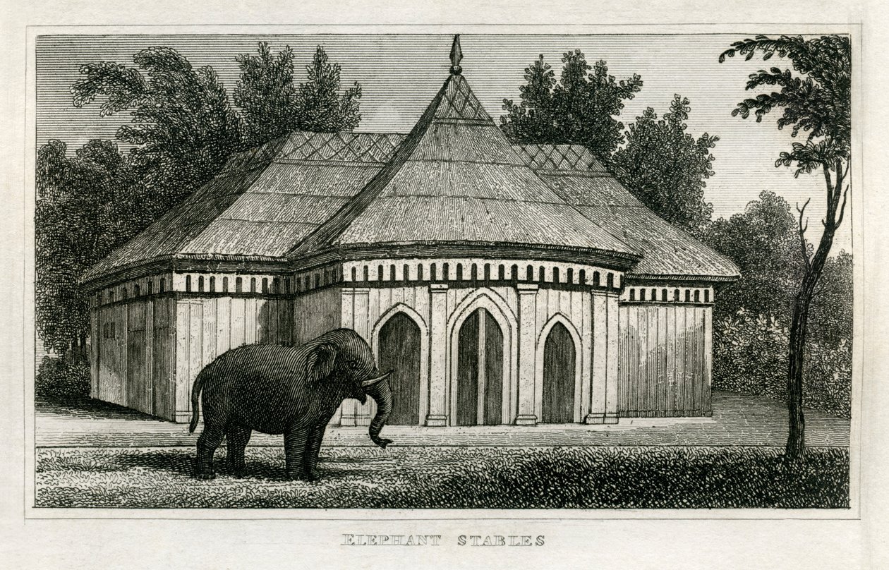 Zoo de Regent