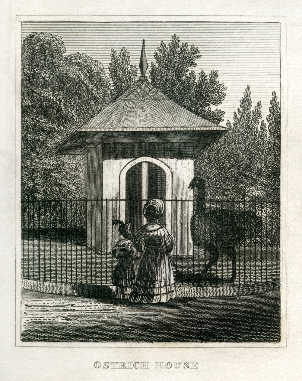 Zoo de Regent