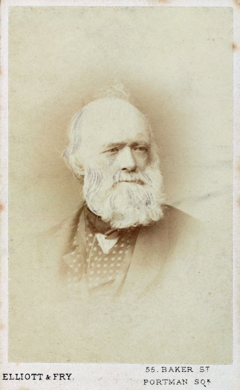 Sir Charles Lyell, géologue anglais, vers 1865-1875 - Unbekannt