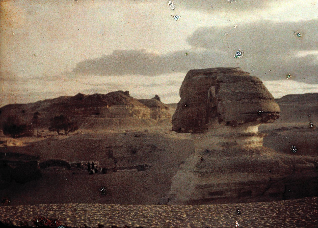 Sphinx - Unbekannter Künstler