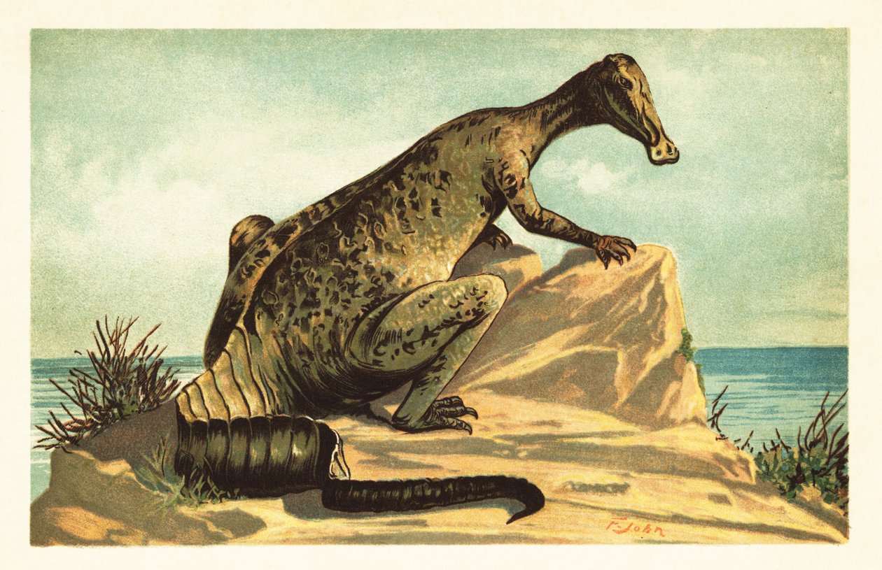 Trachodon mirabilis, dinosaure hadrosauridé éteint - Unbekannter Künstler